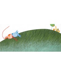 Um câo e um gato Um câo e um gato